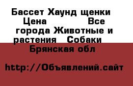 Бассет Хаунд щенки › Цена ­ 20 000 - Все города Животные и растения » Собаки   . Брянская обл.